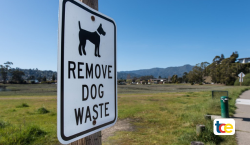 DOG WASTE STREET VACUUMS